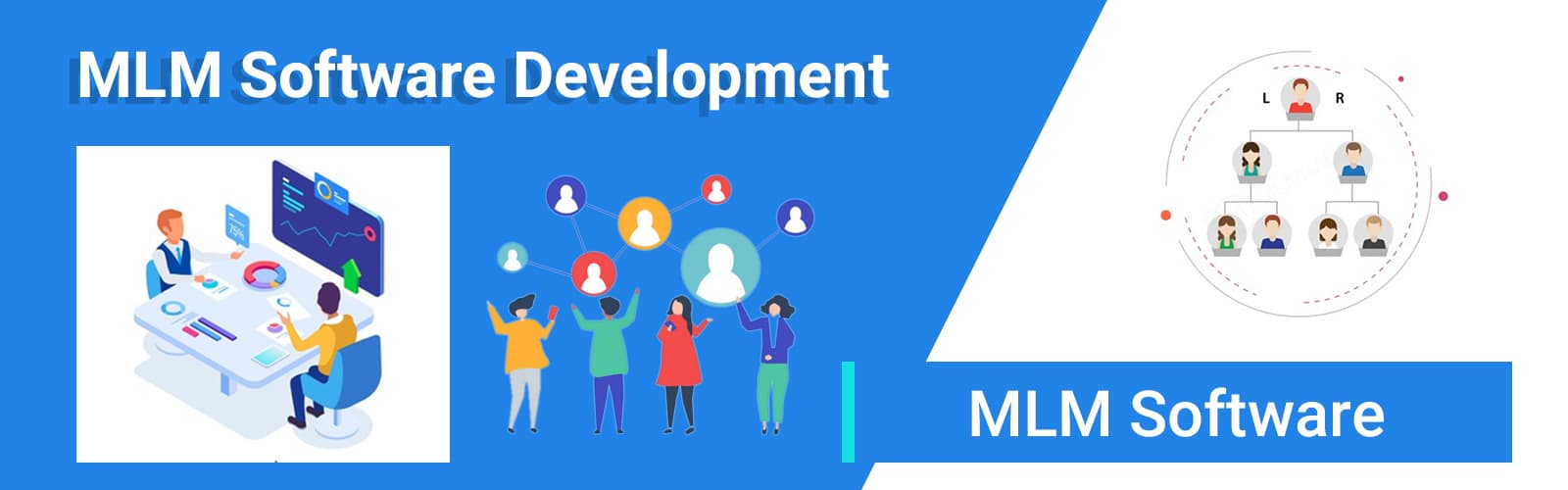 MLM Software Development